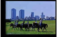 Downtown-Fort-Worth (009-005-472-0003)